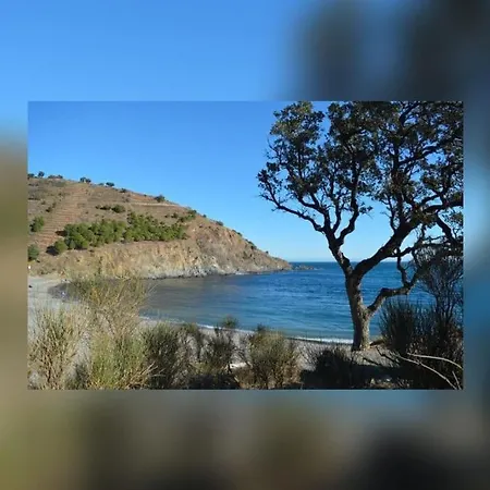 Vue Mer, Crique De Peyrefite, Cerbere-banyuls. * Cerbère
