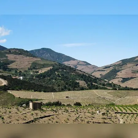 Vue Mer, Crique De Peyrefite, Cerbere-banyuls. Lägenhet Cerbère