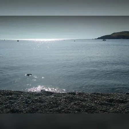 Vue Mer, Crique De Peyrefite, Cerbere-banyuls. 아파트 *