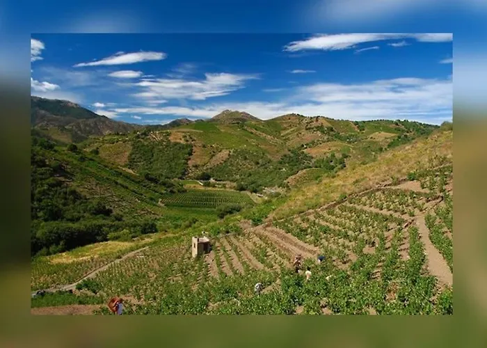 Vue Mer, Crique De Peyrefite, Cerbère-banyuls. *