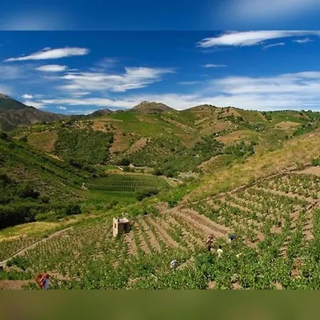 Vue Mer, Crique De Peyrefite, Cerbere-banyuls. *