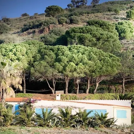 Vue Mer, Crique De Peyrefite, Cerbere-banyuls. Cerbère