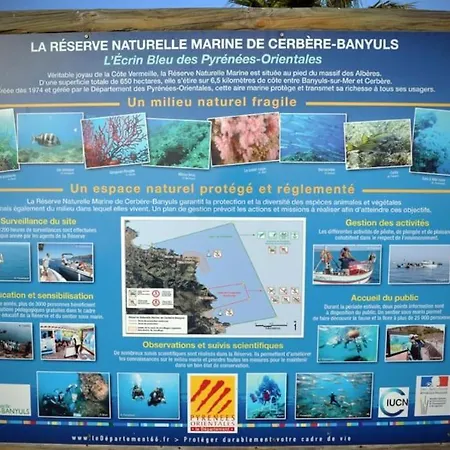 Vue Mer, Crique De Peyrefite, Cerbere-banyuls.