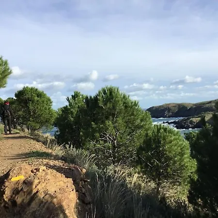 Vue Mer, Crique De Peyrefite, Cerbere-banyuls. * Cerbere