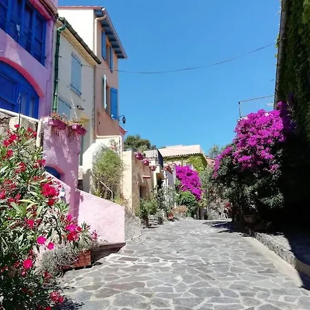 Vue Mer, Crique De Peyrefite, Cerbere-banyuls. Cerbère