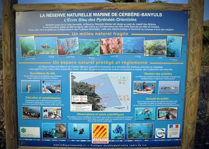 Vue Mer, Crique De Peyrefite, Cerbere-banyuls.