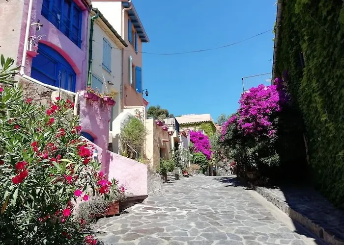 Vue Mer, Crique De Peyrefite, Cerbere-banyuls. Cerbère
