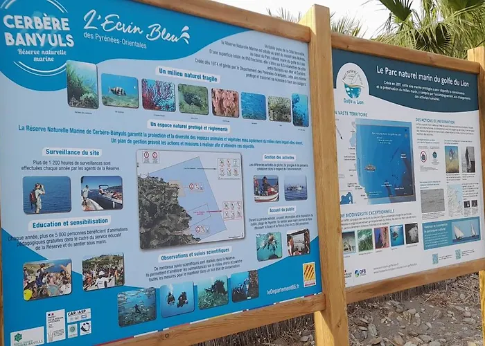 Vue Mer, Crique De Peyrefite, Cerbere-banyuls. * Cerbère